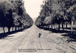 9 EME HUSSARDS DE ALBERT GENDRONNEAU 3 EME ESCADRON 1956 1957 (12)